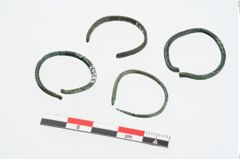 Foto von Bronzering (NHMW-PRAE-024587)